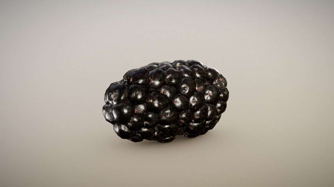 organic blackberry surface macro 3d model
