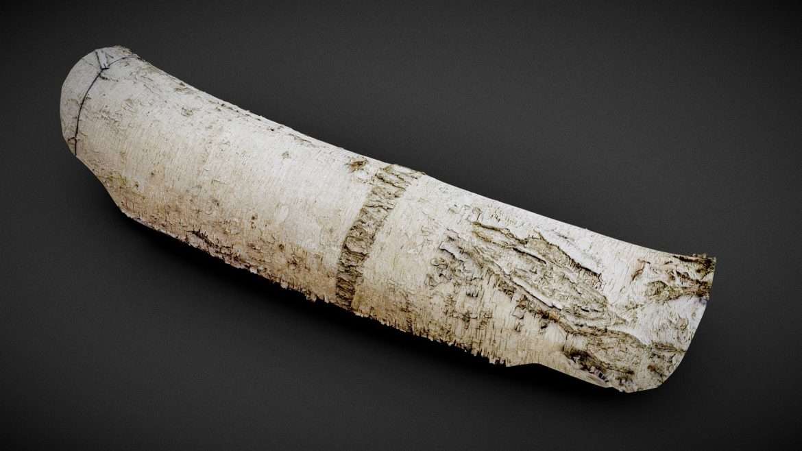 paper skin 3d model
