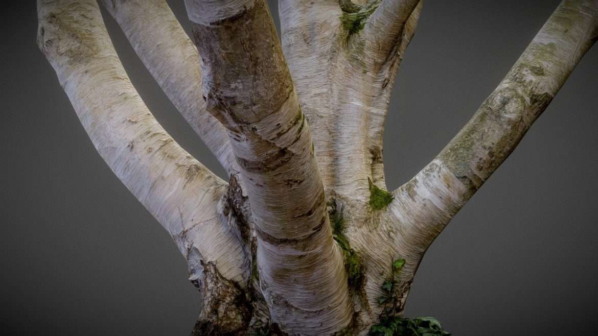 paper tree 3d model