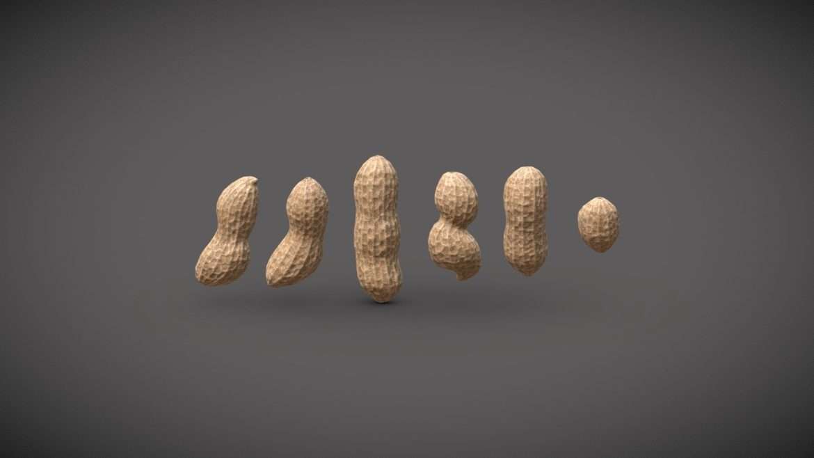 peanuts 3d model