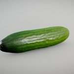 persian cucumber 3d model