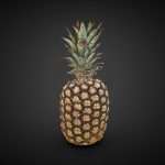 pineapple 3d scan 3d model
