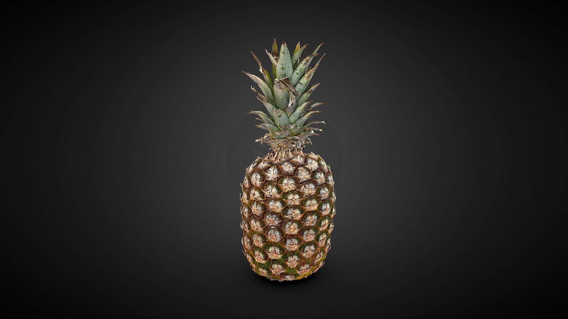 Pineapple 3D Scan
