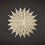 Prickly Candy