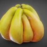 Quince