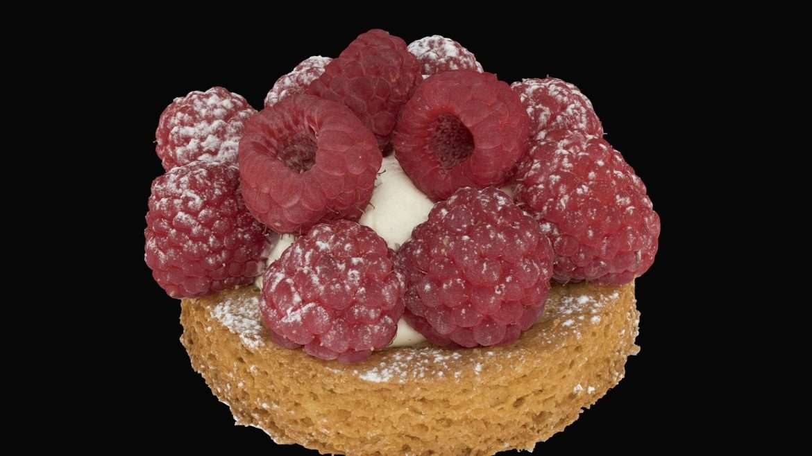 small raspberry tart tartelette 3d model