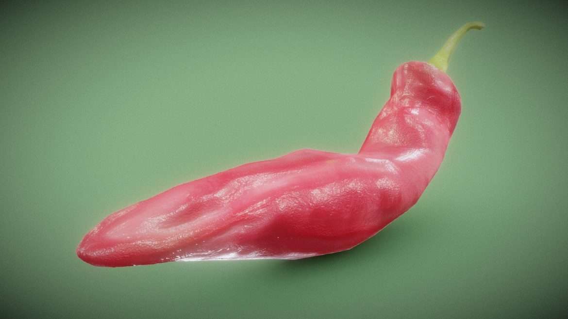 red chili pepper 3d model