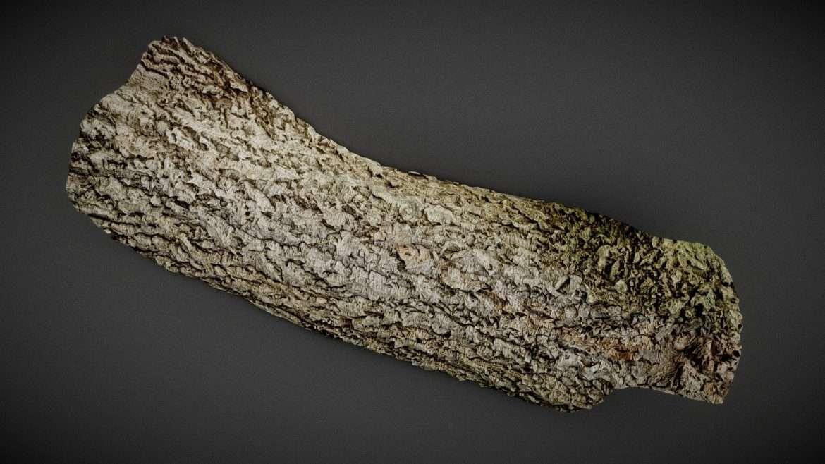 river bark 3d model