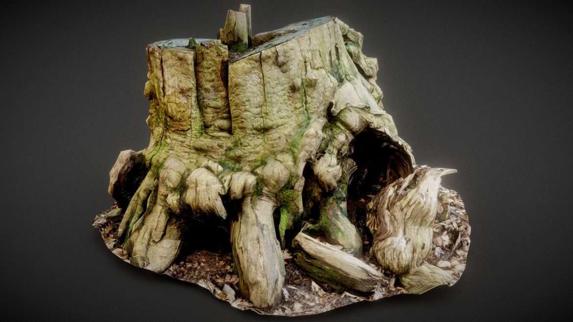 Roots 1 Stump 3d Model - Photorealistic scanned tree stump 3D model with intricate root details and natural textures