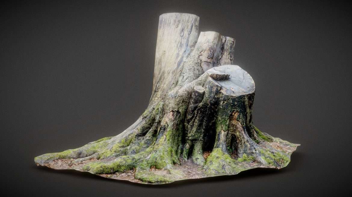 roots 2 3d model