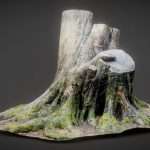 Roots 2