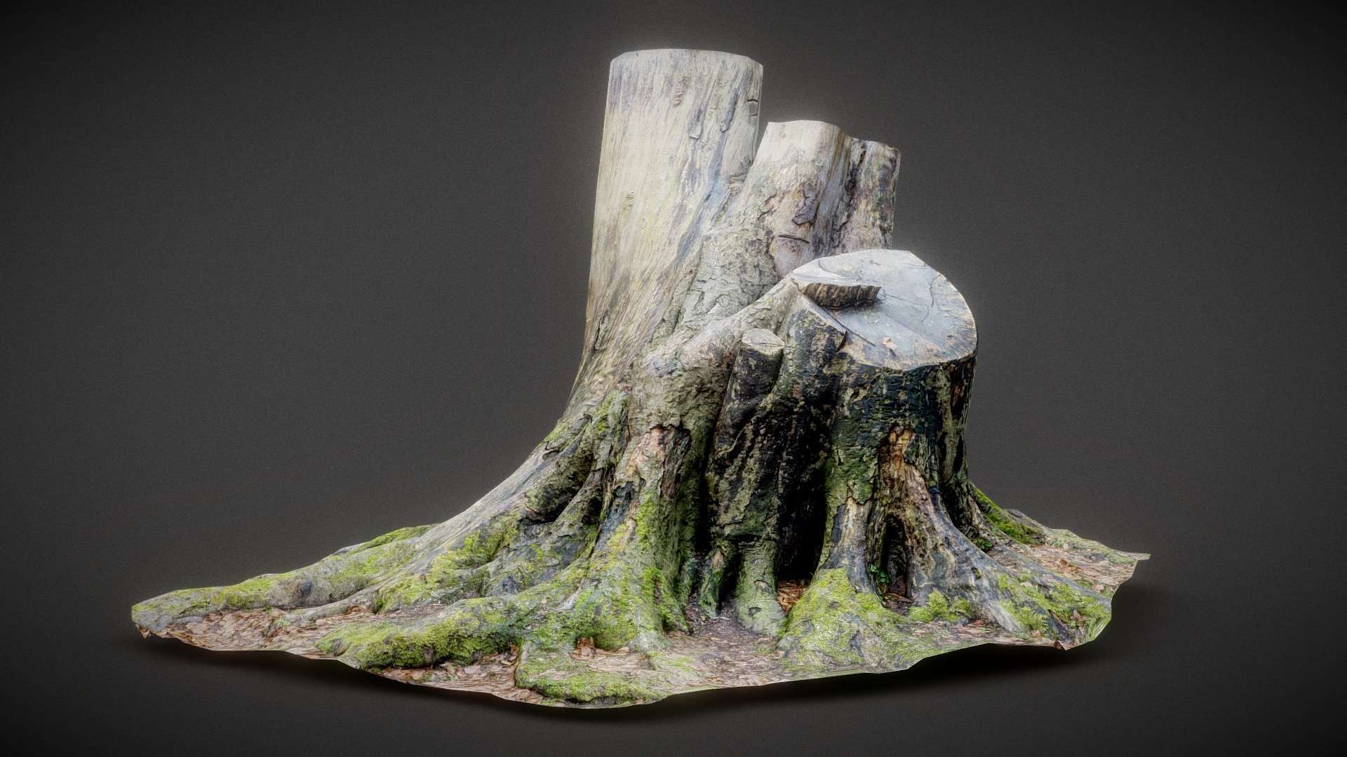 Roots 2