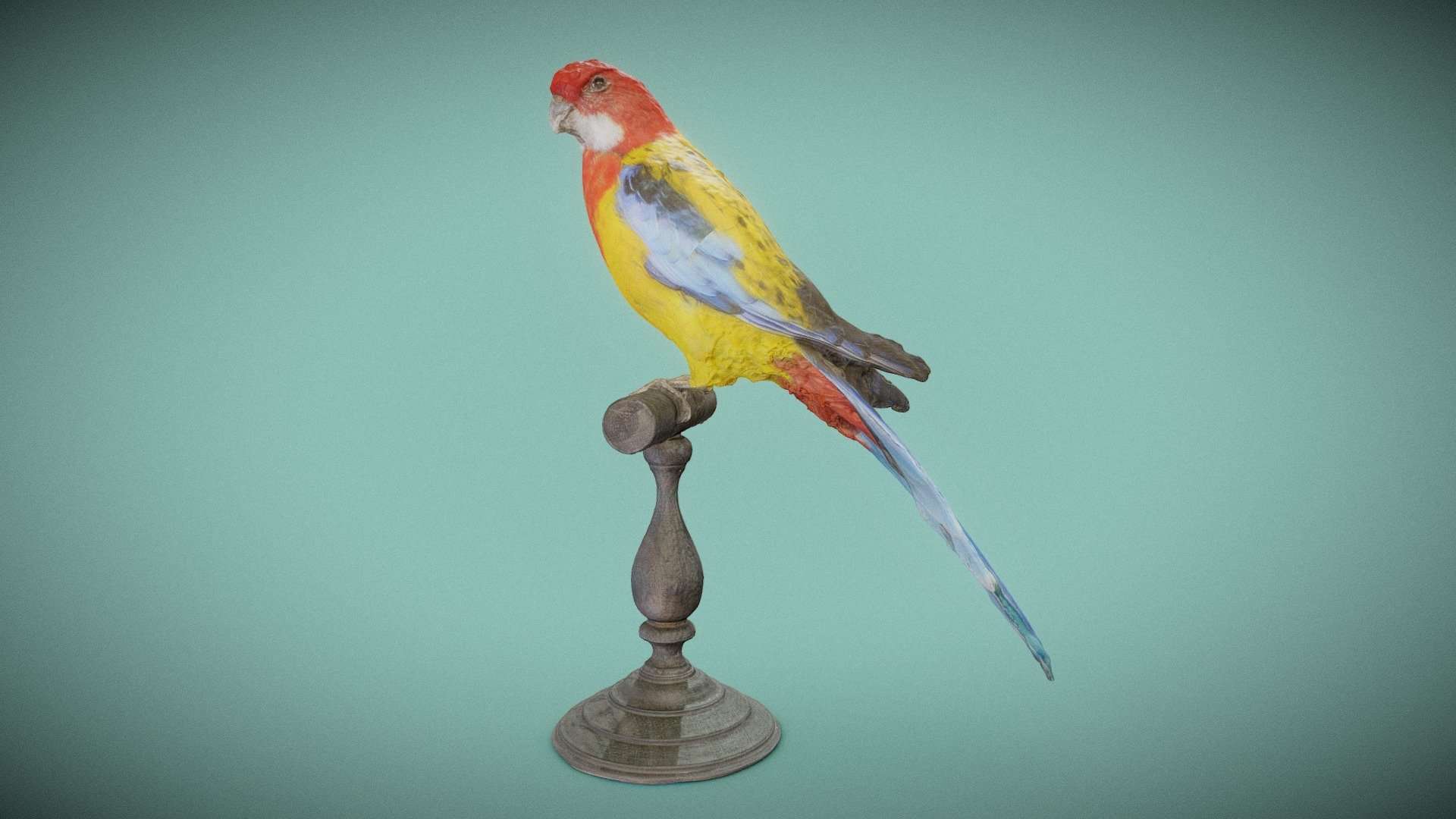 Rosella