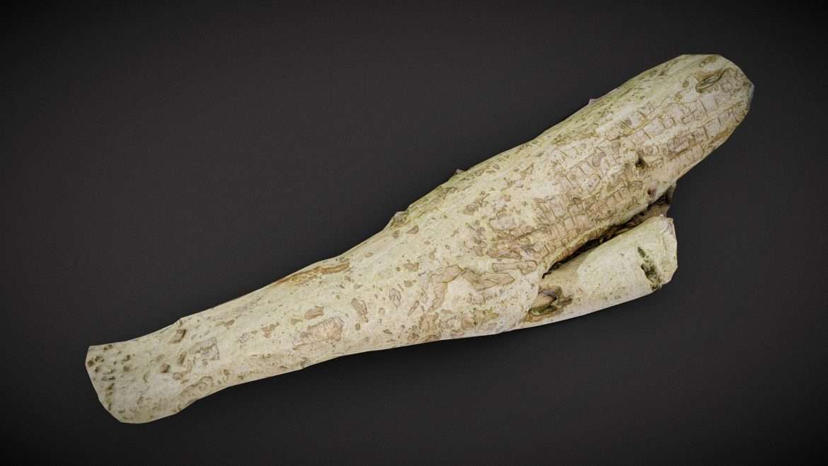 small branch 3d model