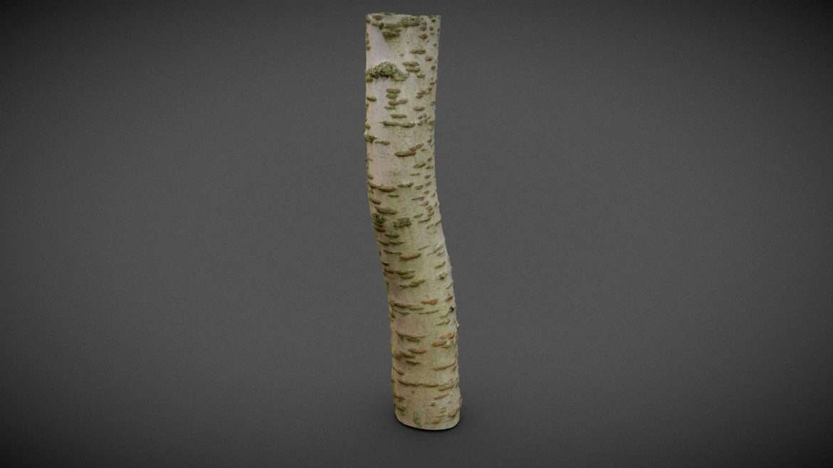 spots and stripes bark 3d model