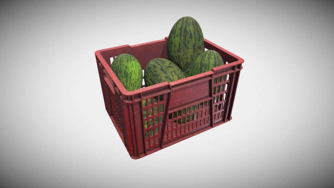 stock water melons 3d model