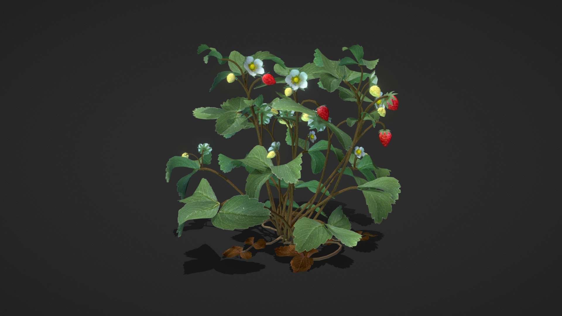 Strawberries