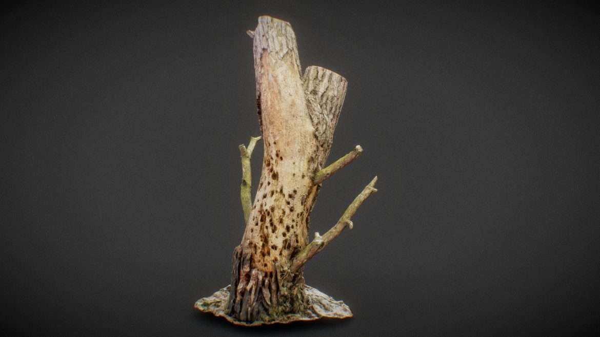 stumpy the streestump 3d model