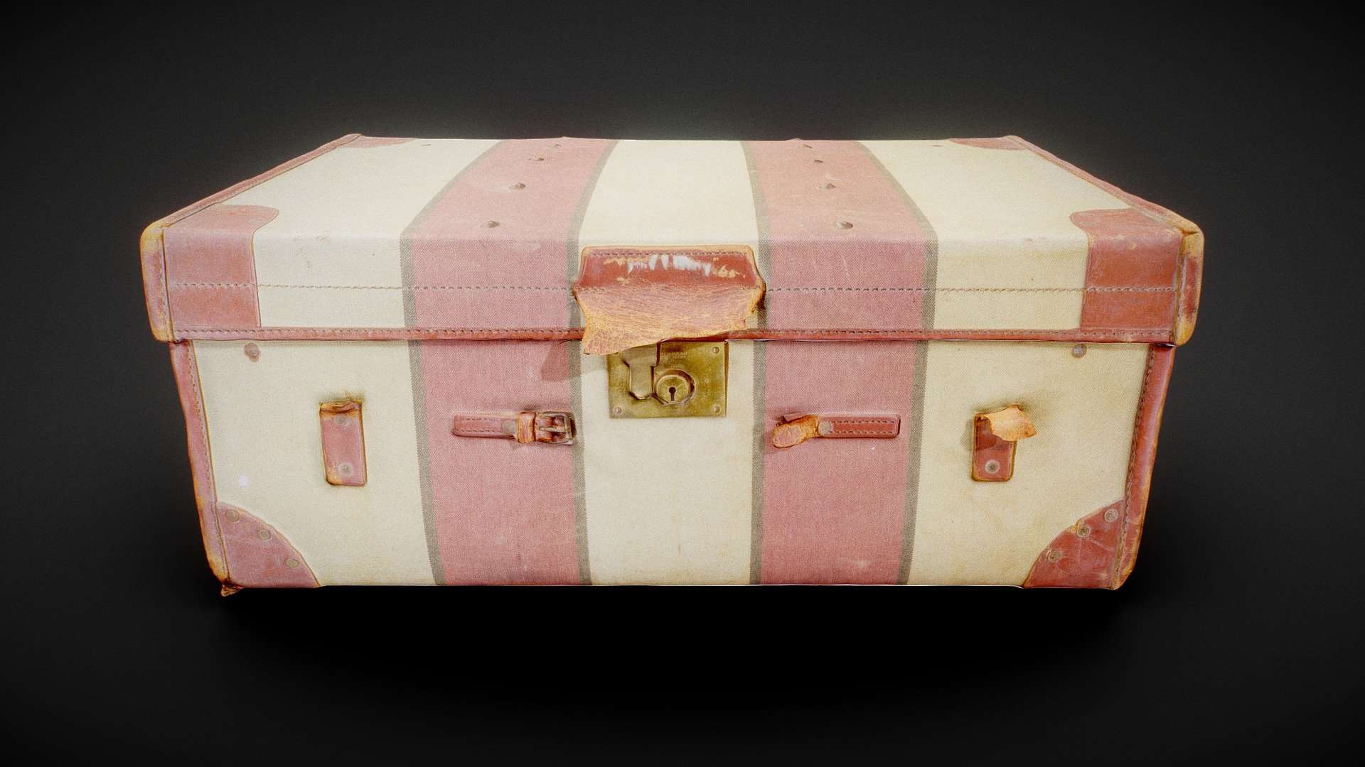 Suitcase 6