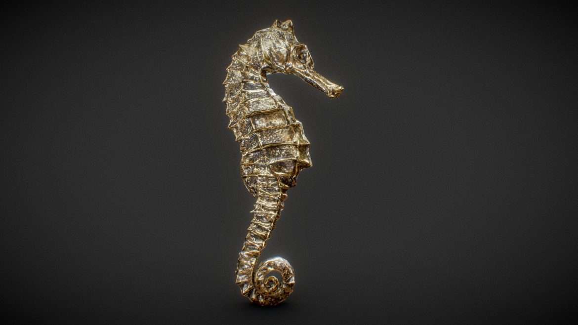 the golden seahorse 3d model