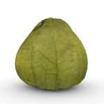 Tomatillo