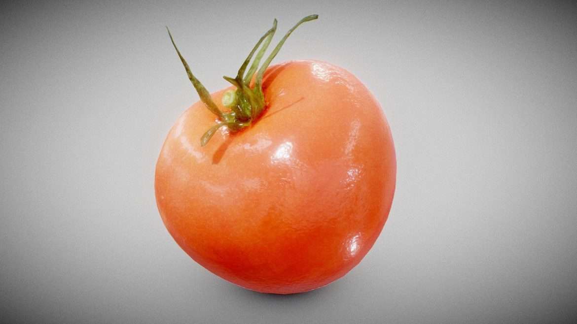 tomato 3d model