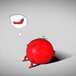 Tomatoe