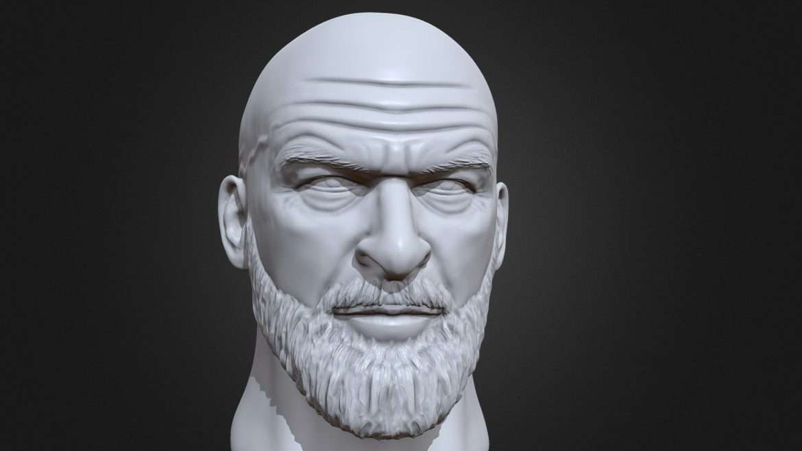 triple h 3d printable portrait sculpture 3d model