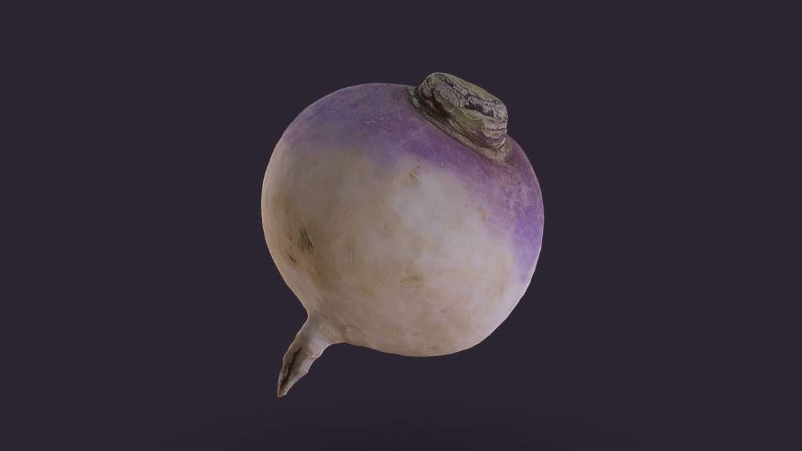 turnip 20k 3d model