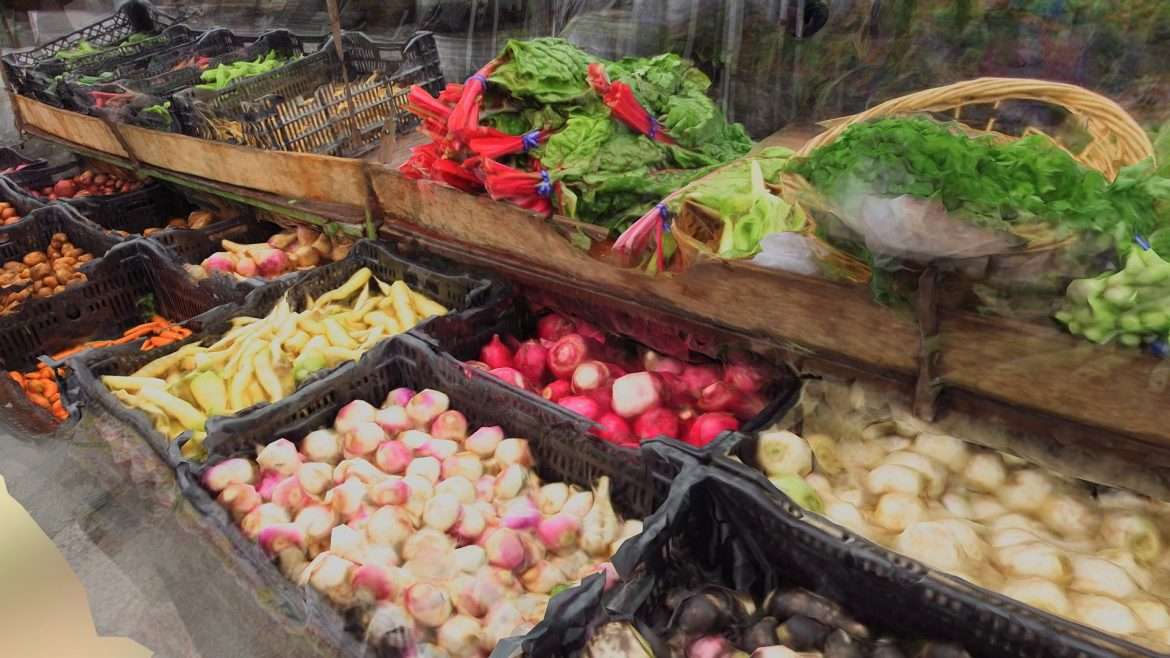 veggie stand 3d model