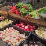 Veggie Stand