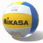 volley ball 3d model