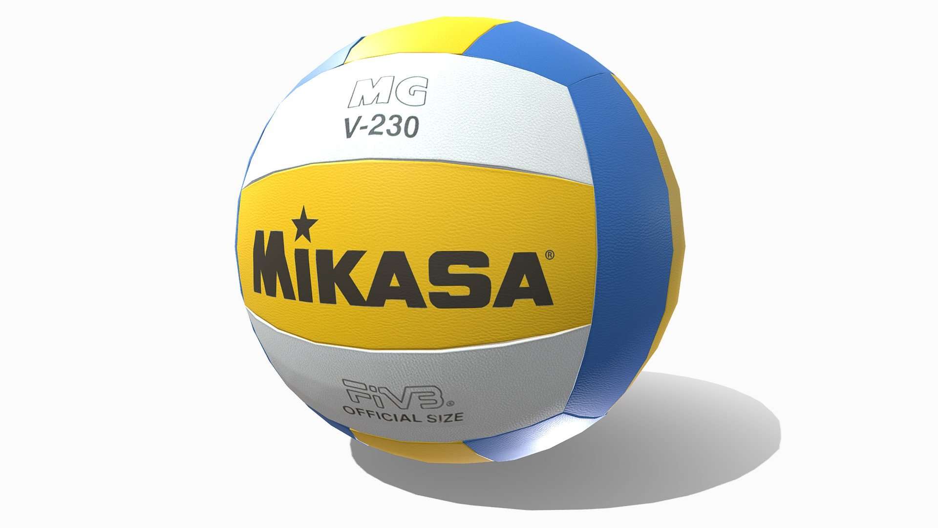 Volley Ball
