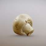 White Button Mushroom