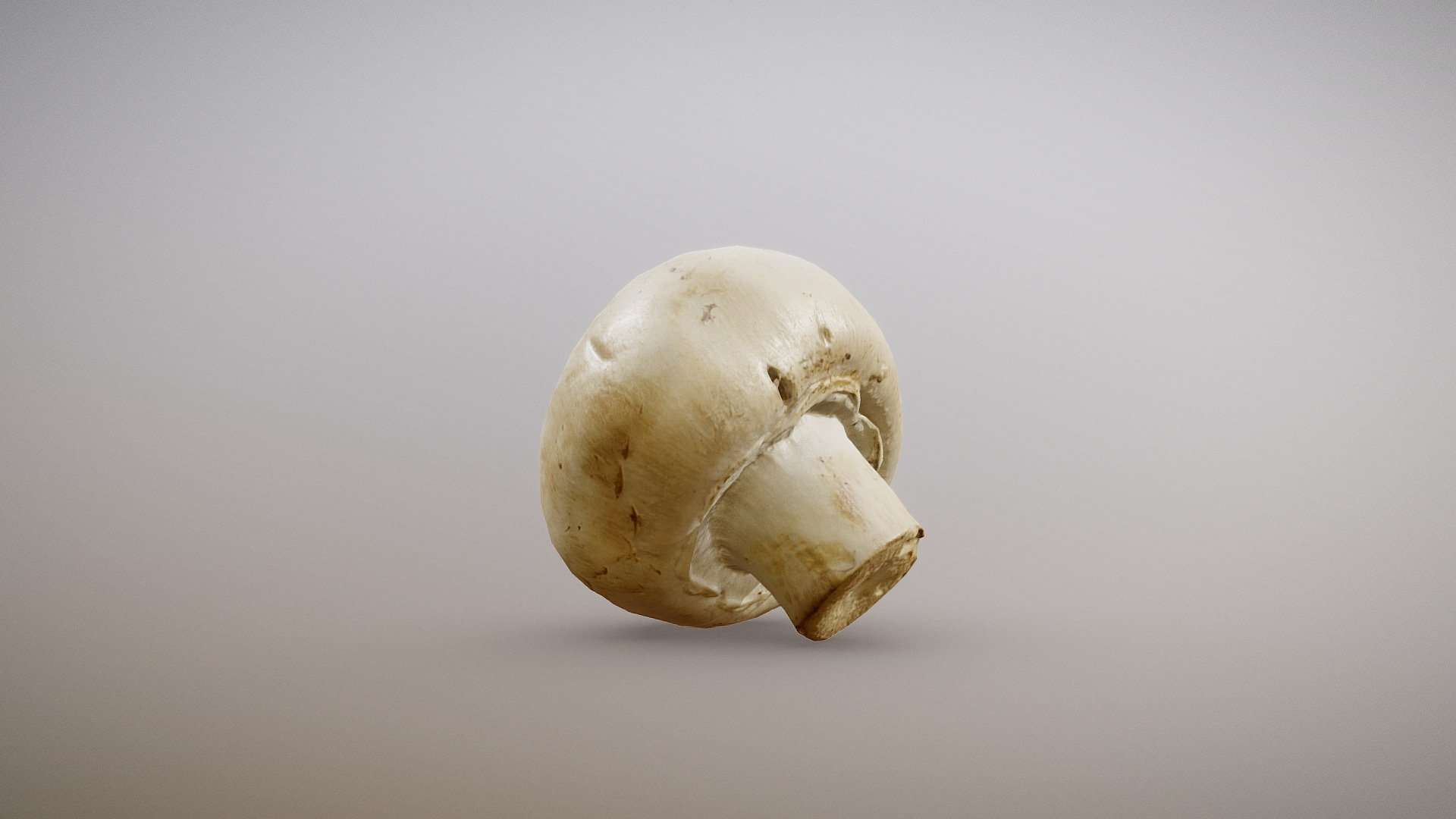 White Button Mushroom