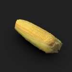 Yellow Corn 3D model