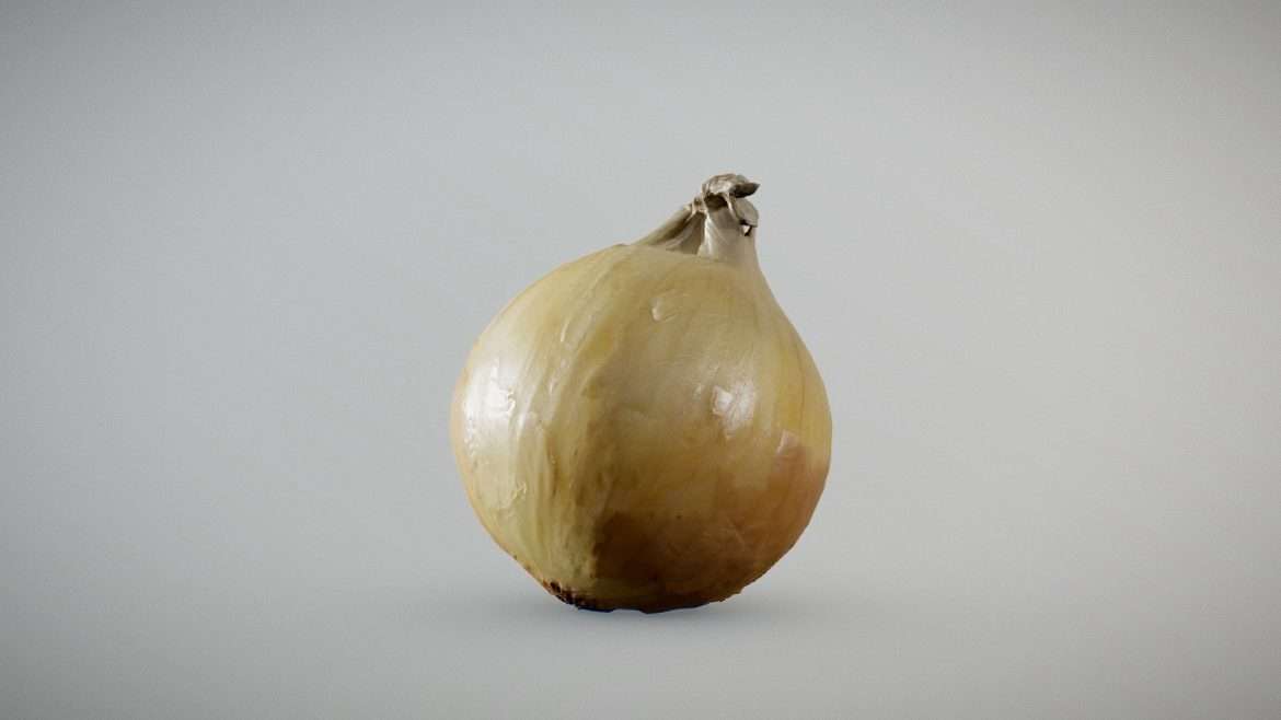 yellow onion 3d model