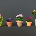 Flower pack