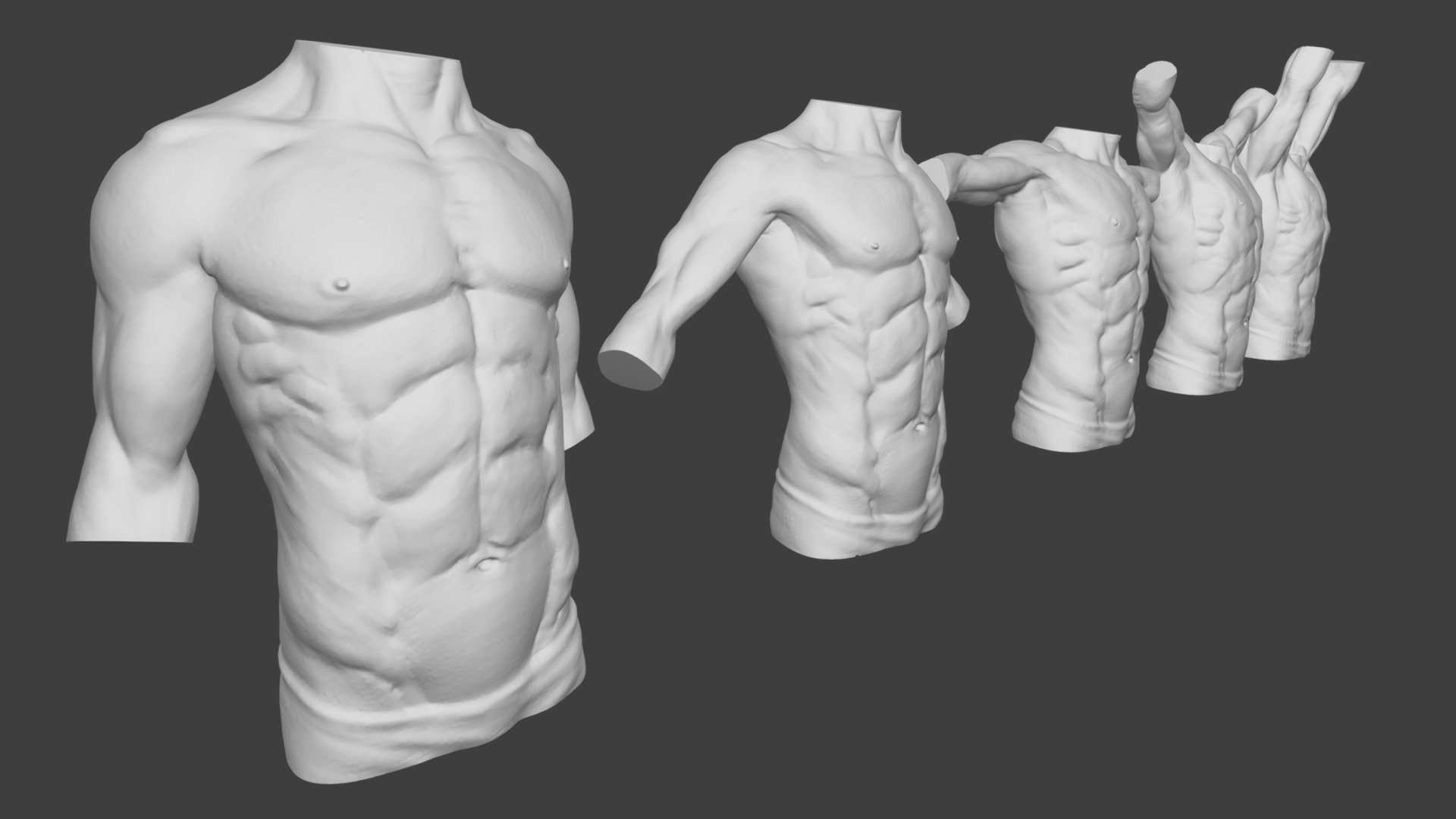 Moving male torso anatomy