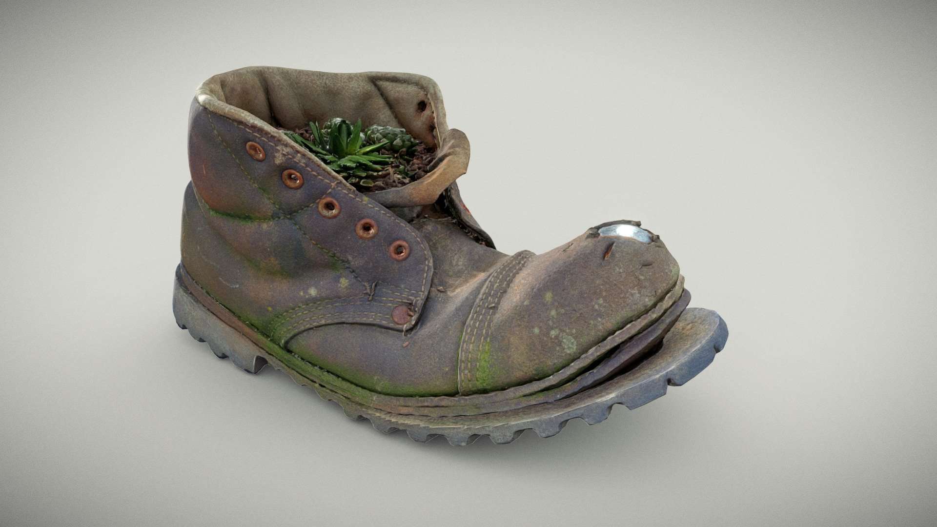 Old Boot With Cactus Plant
