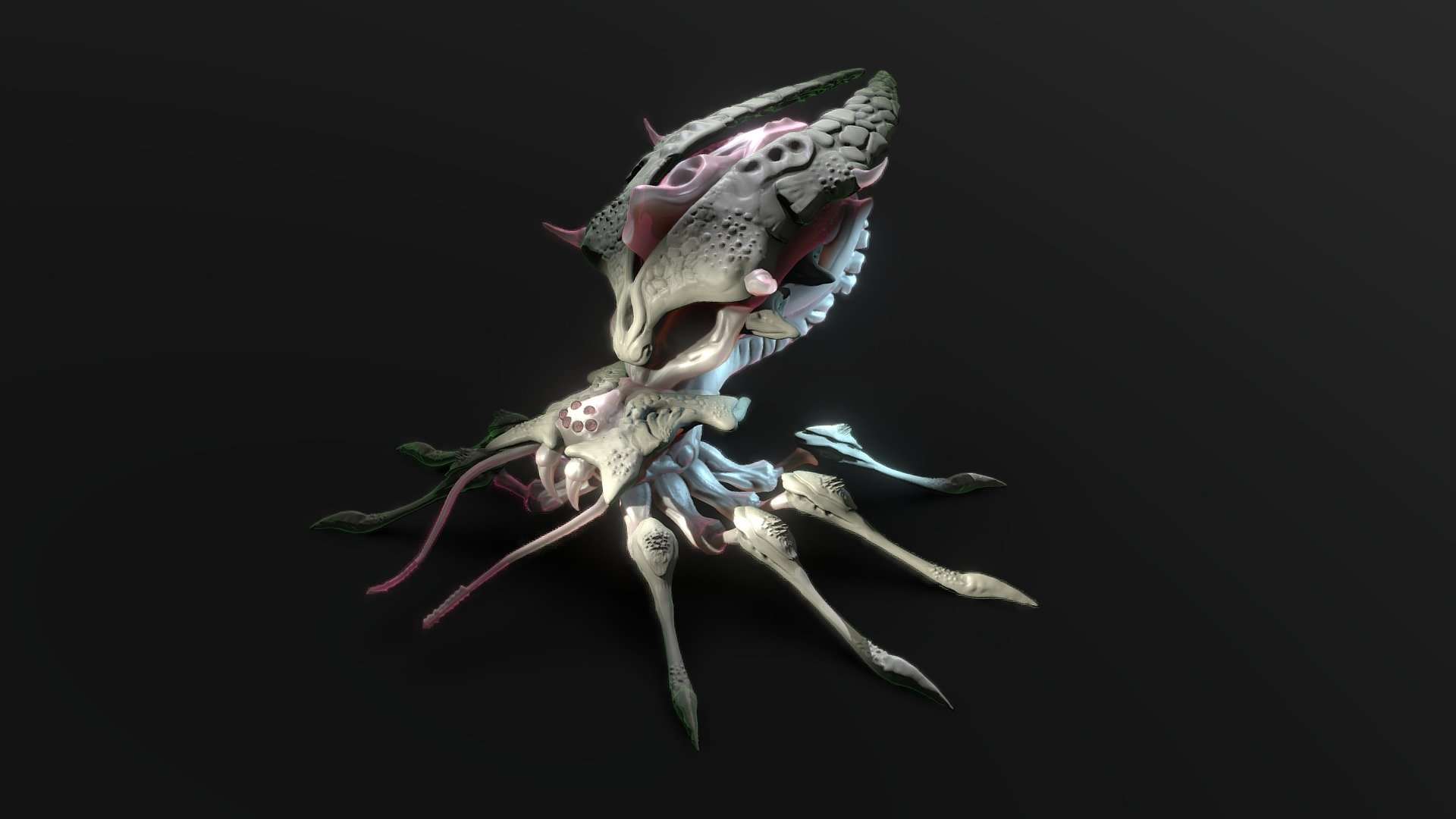 Skull Spider Concept