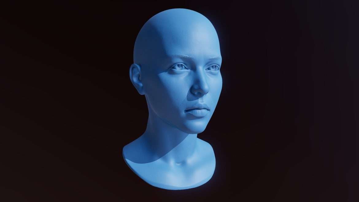 Female Head 3d Model - Realistic 3D printable female head sculpt created in Zbrush, high poly mesh data