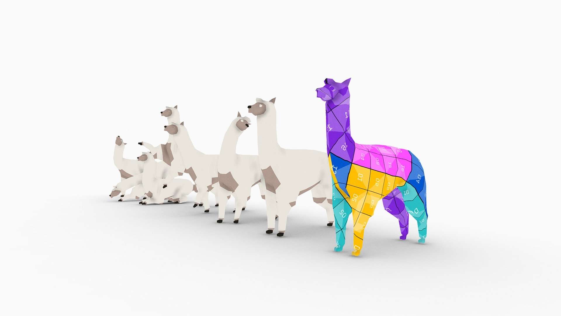 Alpaca