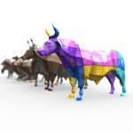 Bull