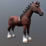 Clydesdale Horse