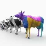 Cow