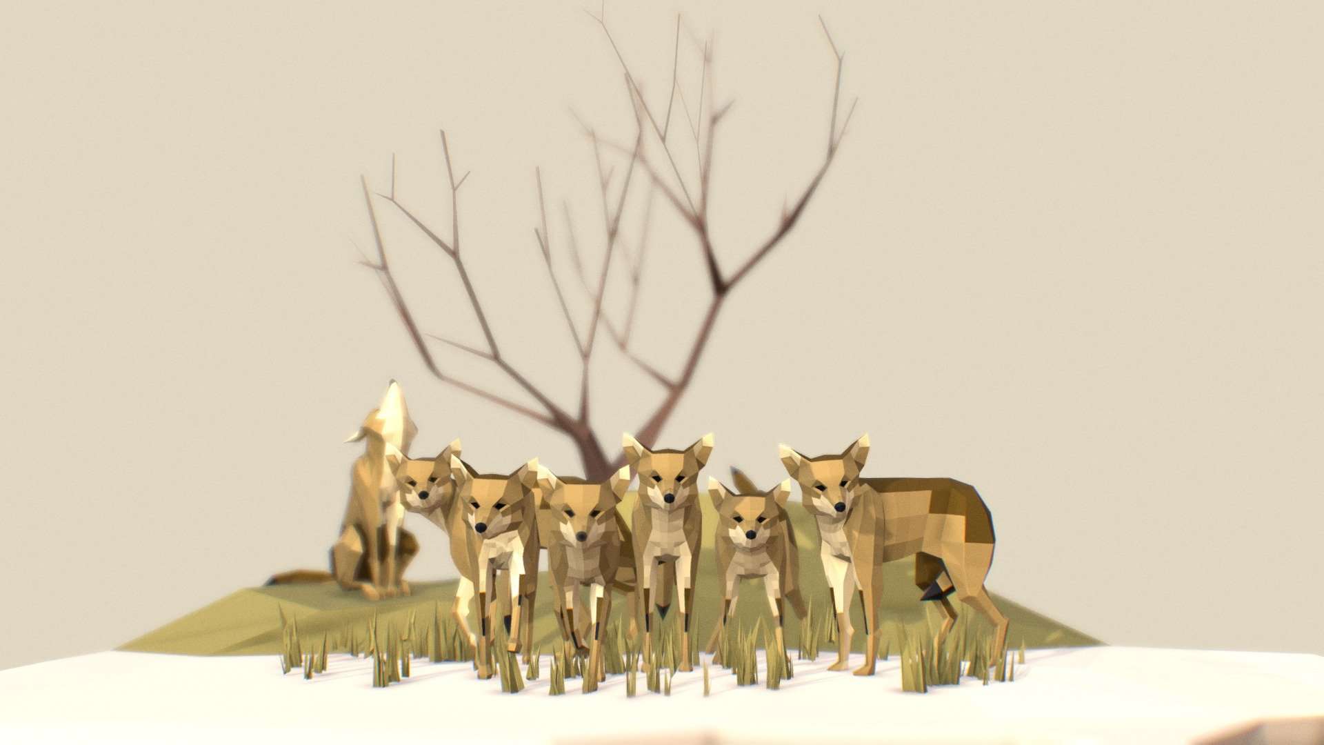 Coyotes