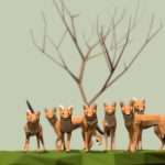 Dholes