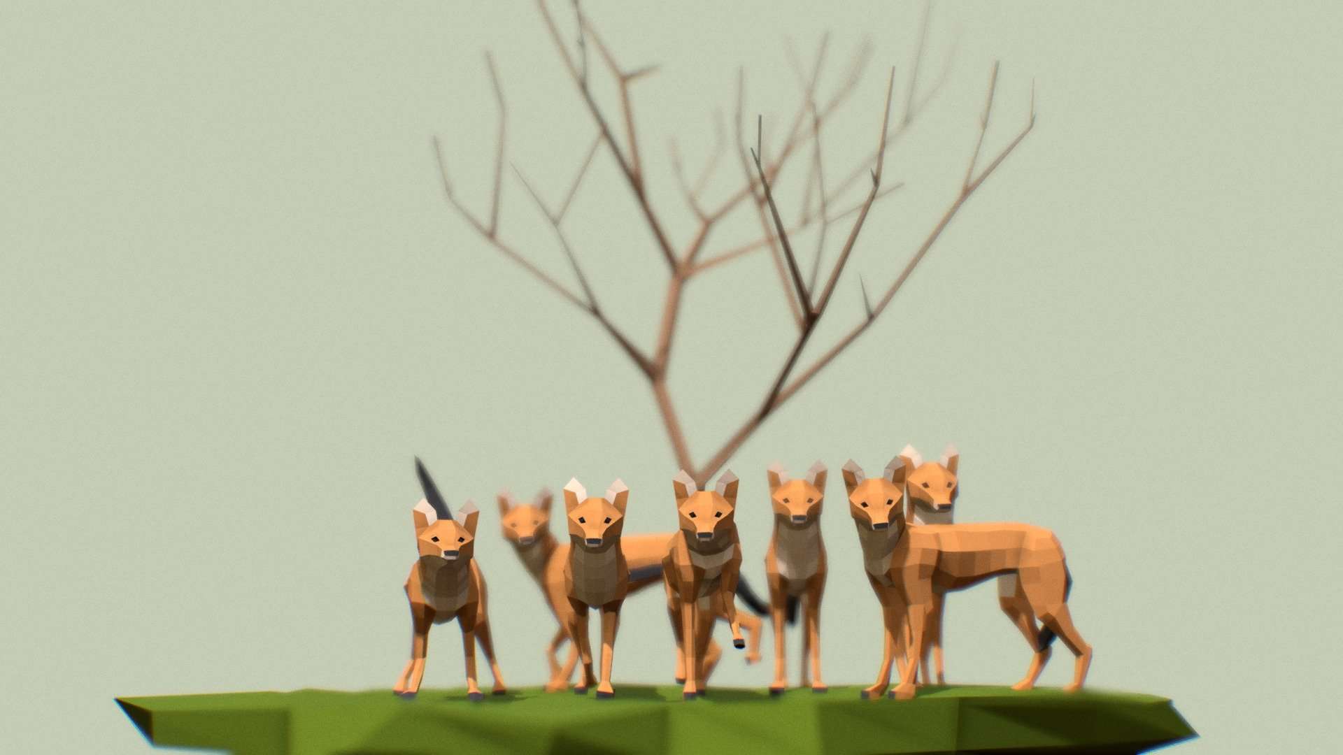 Dholes