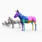 Donkey